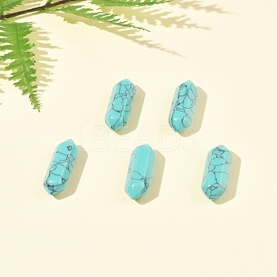 5Pcs Synthetic Turquoise Healing Stones G-FS0005-83L-1