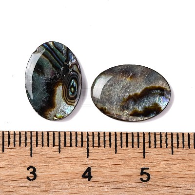 Natural Paua Shell Epoxy Resin Cabochons SSHEL-S279-01B-1