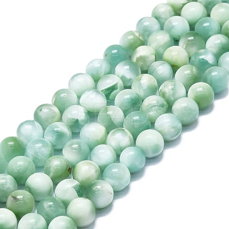Natural Glass Beads Strands G-K245-A13-04-1