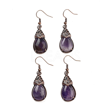 Natural Amethyst Teardrop Dangle Earrings EJEW-B055-01R-21-1