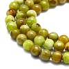 Natural Green Opal Beads Strands G-K245-A17-A02-3