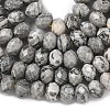 Natural Map Stone/Picasso Stone/Picasso Jasper Bead Strands G-D344-A18-5