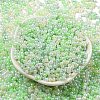 Glass Seed Beads SEED-K009-02B-20-2