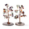 Natural Gemstone Chips & Agate Pedestal Display Decorations DJEW-A001-04G-1