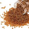 TOHO 8/0 Round Beads SEED-XTR08-0022C-1