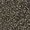 TOHO 8/0 Round Beads X-SEED-TR08-0029-2
