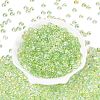 Transparent Colours Glass Seed Beads SEED-Q042-01A-A09-2