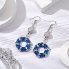 Glass Hexagon Dangle Earrings EJEW-MZ00305-1