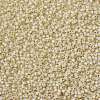 MIYUKI Round Rocailles Beads SEED-JP0009-RR0577-3