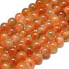 Natural Malaysia Jade Beads Strands G-L645-C01-8mm-29-1