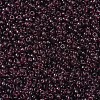 MIYUKI Round Rocailles Beads X-SEED-G007-RR0153-3