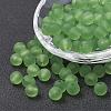 Transparent Acrylic Beads PL582-C67-2