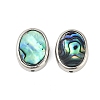 Natural Paua Shell Beads SSHEL-M024-03B-P-1