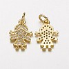 Electrophoresis Brass Micro Pave Cubic Zirconia Charms X-ZIRC-P047-14G-1
