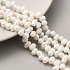 Natural Cultured Freshwater Pearl Beads Strands PEAR-A006-23A-1