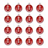 Platinum Plated Alloy Enamel Charms LS-ENAM-S118-03I-P-2