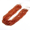 Baking Paint Transparent Glass Beads Strands DGLA-A035-T10mm-A04-2