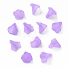 Transparent Acrylic Bead Caps PL551-C08-2