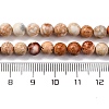 Dyed Natural Regalite/Imperial Jasper/Sea Sediment Jasper Beads Strands G-B124-C02-10-3