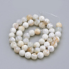 Natural Fire Crackle Agate Beads Strands G-S249-09-8mm-2