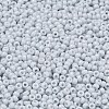 MIYUKI Round Rocailles Beads SEED-G007-RR0598-2