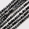 Natural Snowflake Obsidian Round Bead Strands G-A130-3mm-17-1