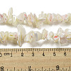 Natural Trochus Shell Beads Strands SSHEL-H072-04-4