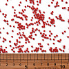 Baking Paint Glass Seed Beads SEED-S001-K20-3