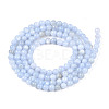Natural Freshwater Shell Beads Strands X-BSHE-T009A-01F-2