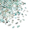 Natural Amazonite Chip Beads G-O103-08-5