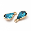 Faceted Glass Rhinestone Pendants FIND-G049-01G-08-2