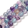 Natural Fluorite Beads Strands G-K345-A02-02A-1
