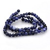 Natural Sodalite Round Beads Strands G-N0120-19-4mm-2