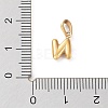 316L Surgical Stainless Steel Charms STAS-G315-01G-N-3