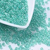 Eco-Friendly Transparent Acrylic Beads PL731-9-1