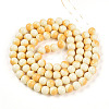 Baking Paint Glass Beads Strands DGLA-N012-10mm-03-2