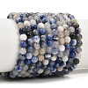 Natural Sodalite Beads Strands GSR4mmC013-3