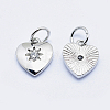 Brass Micro Pave Cubic Zirconia Charms LS-RB-I078-67P-NR-2