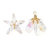 Glass Pendants PALLOY-MZ00741-01-1
