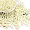 Baking Paint Glass Seed Beads SEED-A032-02I-1