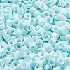 Baking Paint Glass Seed Beads SEED-S042-05A-35-3