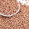 Baking Paint Glass Seed Beads X1-SEED-K010-A21-1