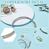Brass Spring Wire CWIR-WH0008-03C-P-5