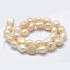 Natural Cultured Freshwater Pearl Beads Strands PEAR-K004-05A-01-2