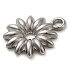 304 Stainless Steel Pendants STAS-M070-2P-2