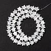 Natural Trochid Shell/Trochus Shell Beads SSHEL-O001-25B-02-3