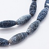 Natural Weathered Agate Beads Strands G-K261-07A-3
