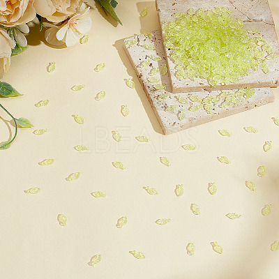 500Pcs Transparent Acrylic Charms TACR-ME0001-02B-1