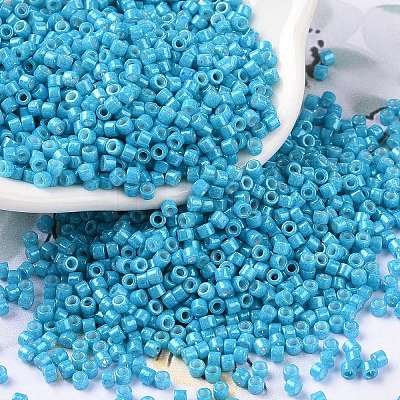 Cylinder Seed Beads SEED-H001-H10-1
