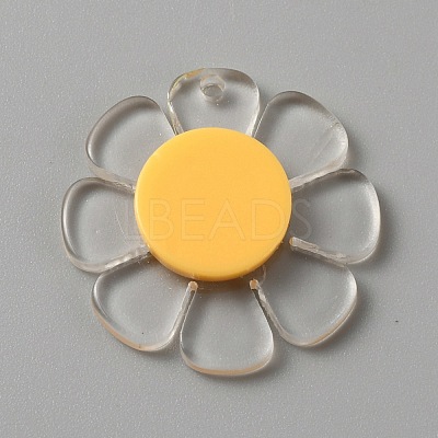 Transparent Resin Pendants LS-RESI-WH0029-46B-09-1